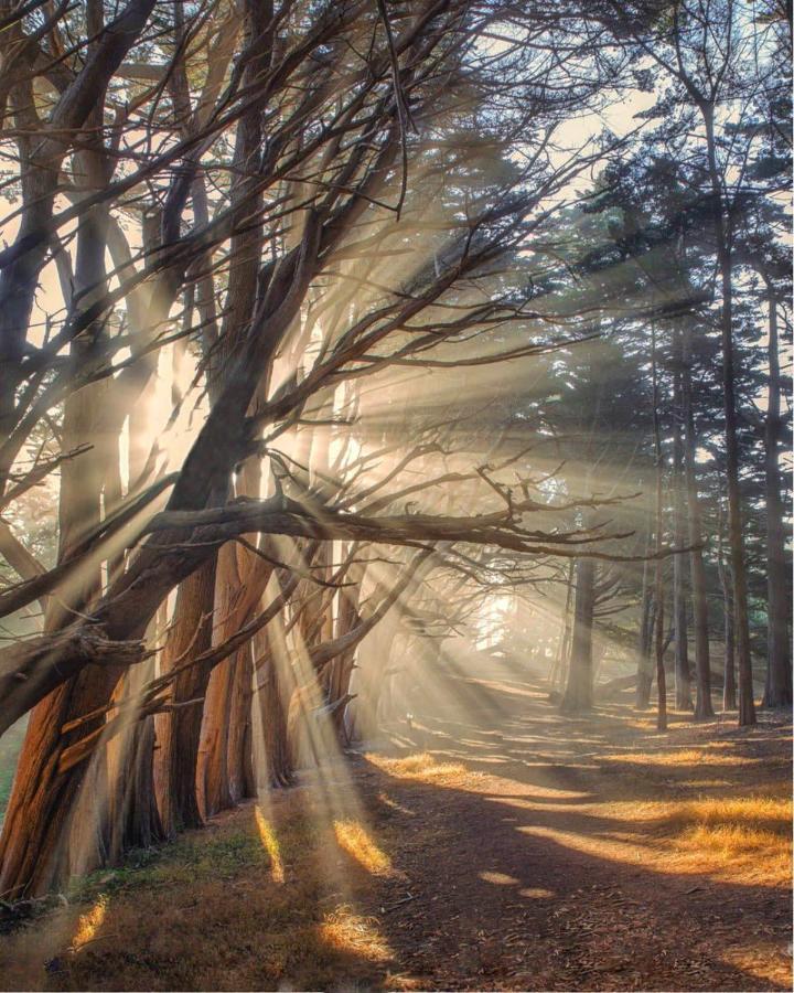 Miramar Beach Home Walk To Beach Trails Restaurants Family Activities Half Moon Bay Bagian luar foto