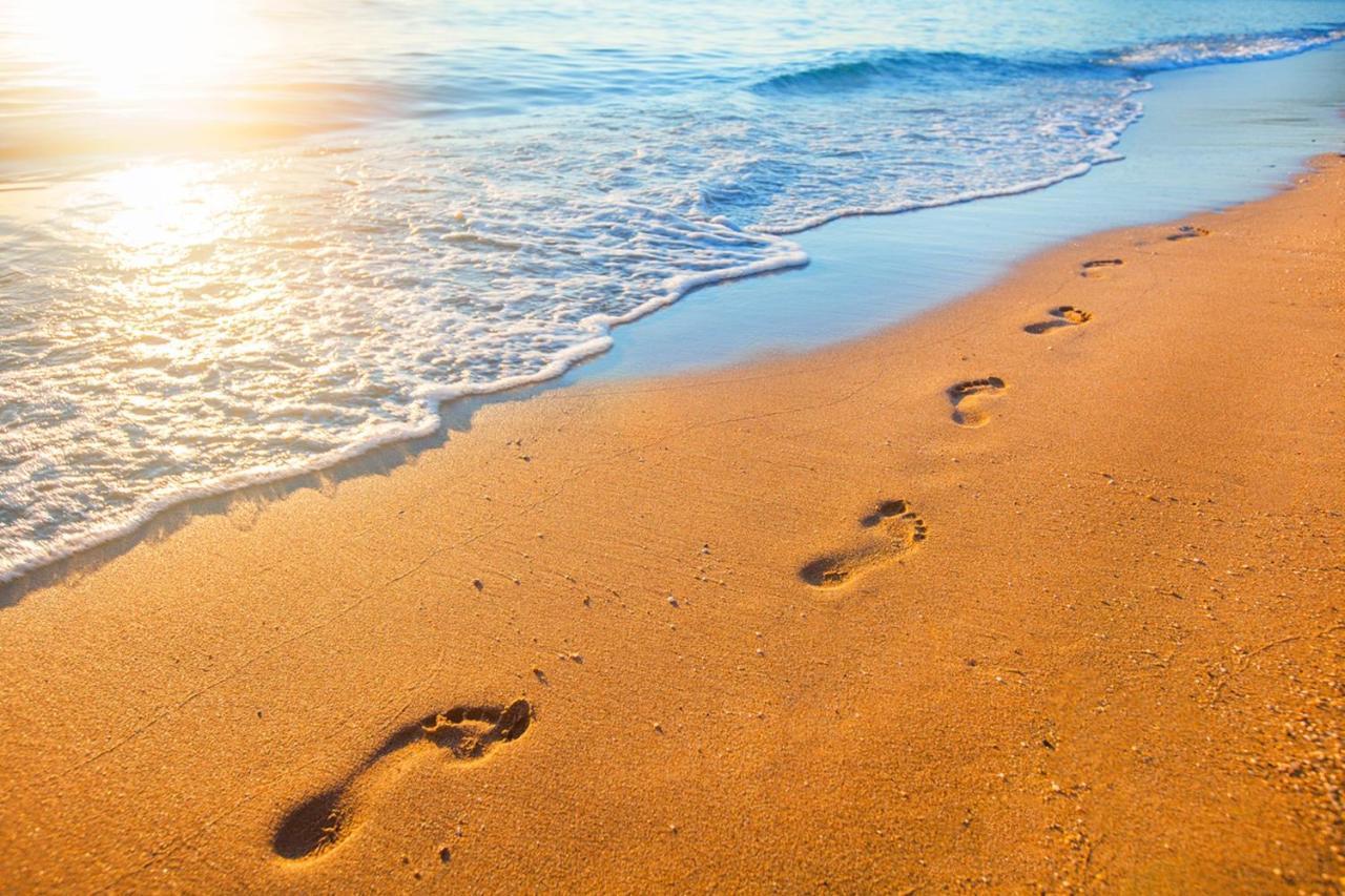 Miramar Beach Home Walk To Beach Trails Restaurants Family Activities Half Moon Bay Bagian luar foto
